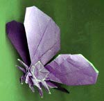 Origami 